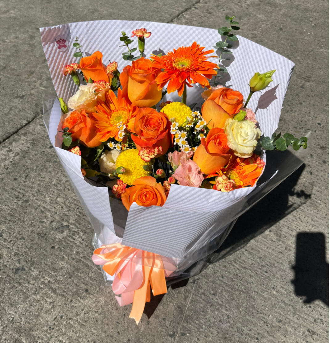 Peach Harmony P3880