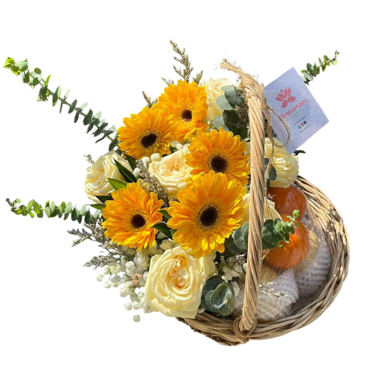 Care bundle